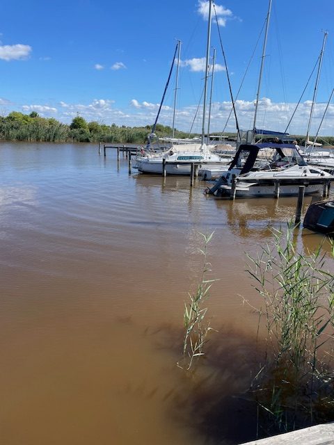 Rust am Neusiedler See: Ein Geheimtipp für Tagesausflüge